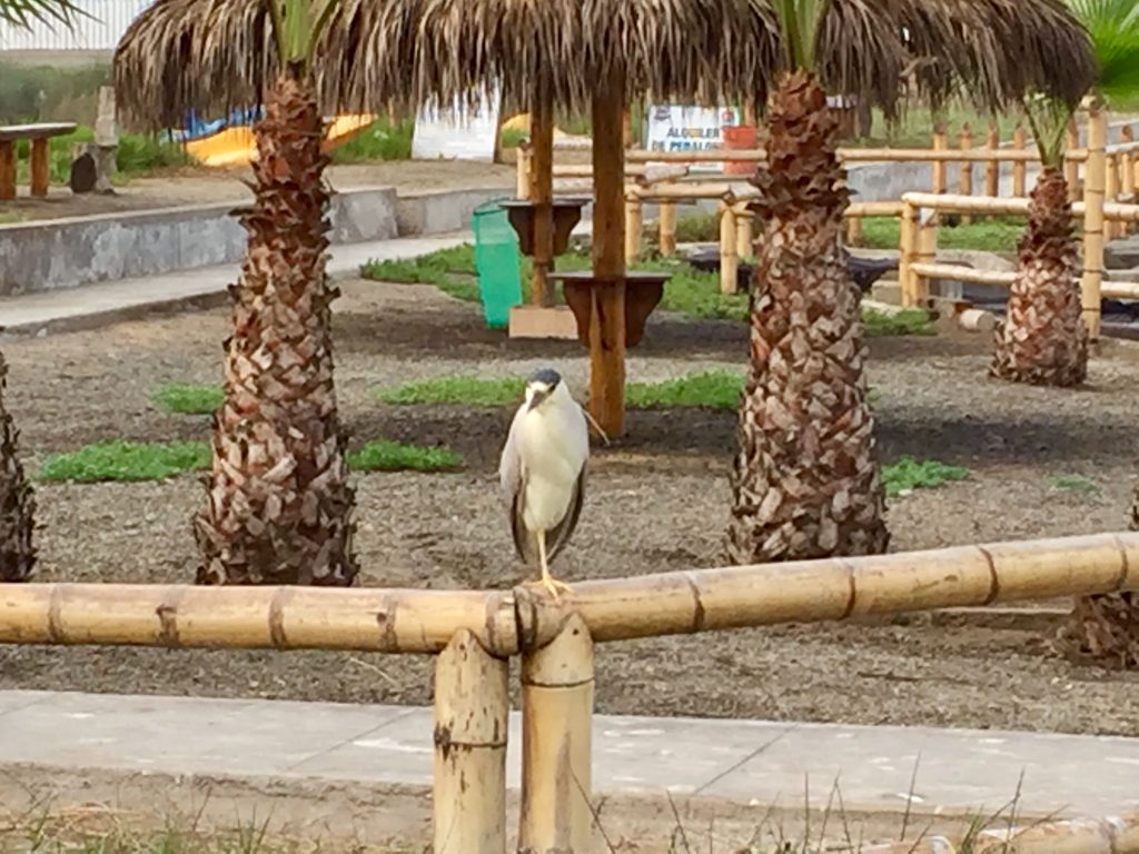 Positive und negative Überraschungen – FromSeaToSky – Ein Reisetagebuch